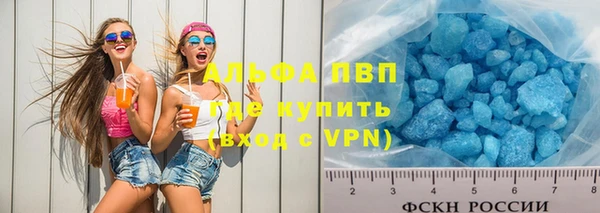 прущие крисы Аркадак