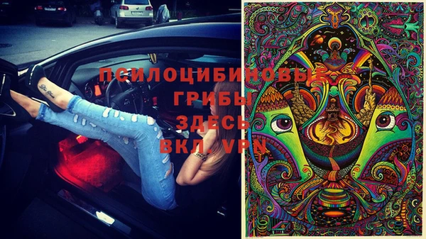 прущие крисы Аркадак