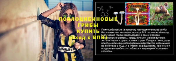 МДПВ Арсеньев