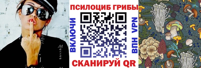 закладка  Прохладный  darknet какой сайт  Псилоцибиновые грибы прущие грибы 