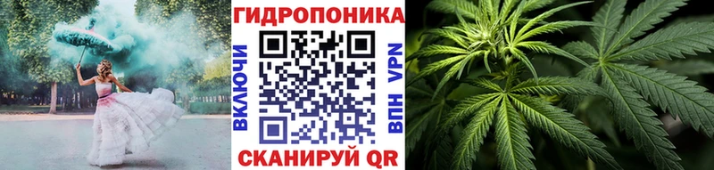 Бошки марихуана OG Kush  Прохладный 
